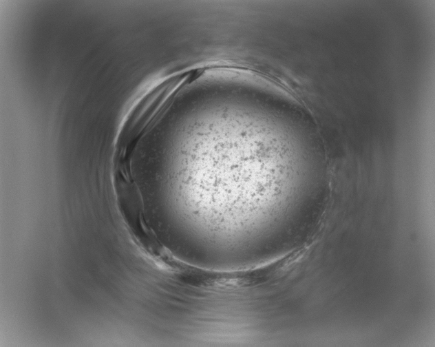 X0000054300152200508042319.png