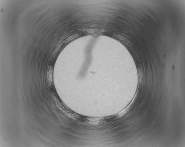 X0000054580190200508300110.png