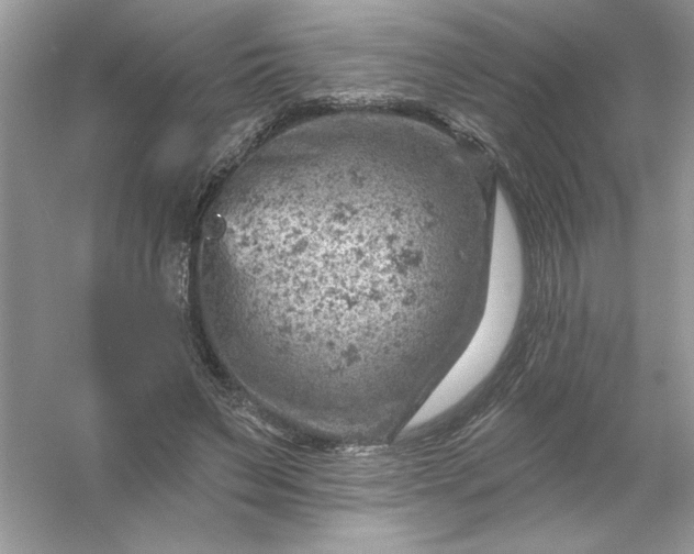 X0000054300495200508042314.png