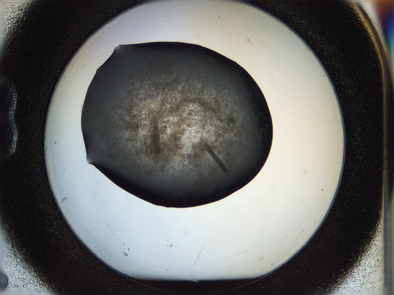 05fo_B6_ImagerDefaults_8.jpg