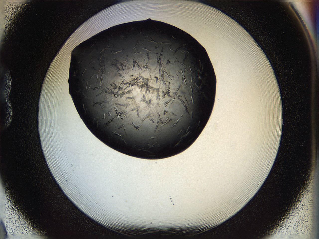 05fo_B8_ImagerDefaults_7.jpg