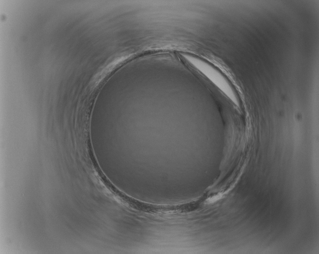 X0000054170577200508101802.png