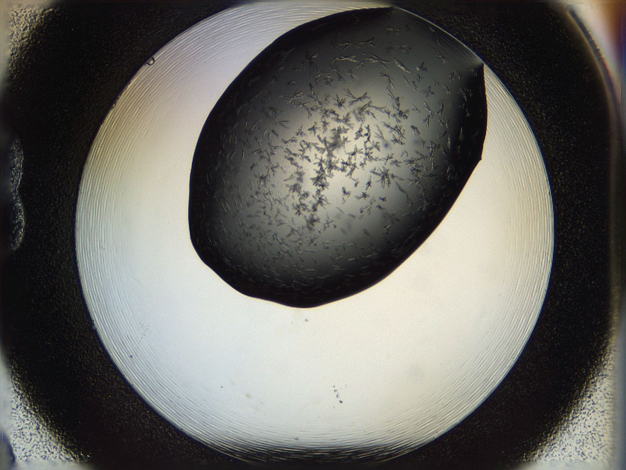 05fp_B8_ImagerDefaults_6.jpg