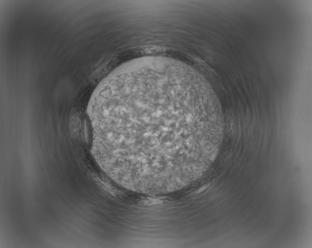 X0000055250523200509071619.png