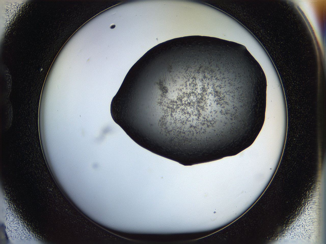 05fp_B9_ImagerDefaults_6.jpg