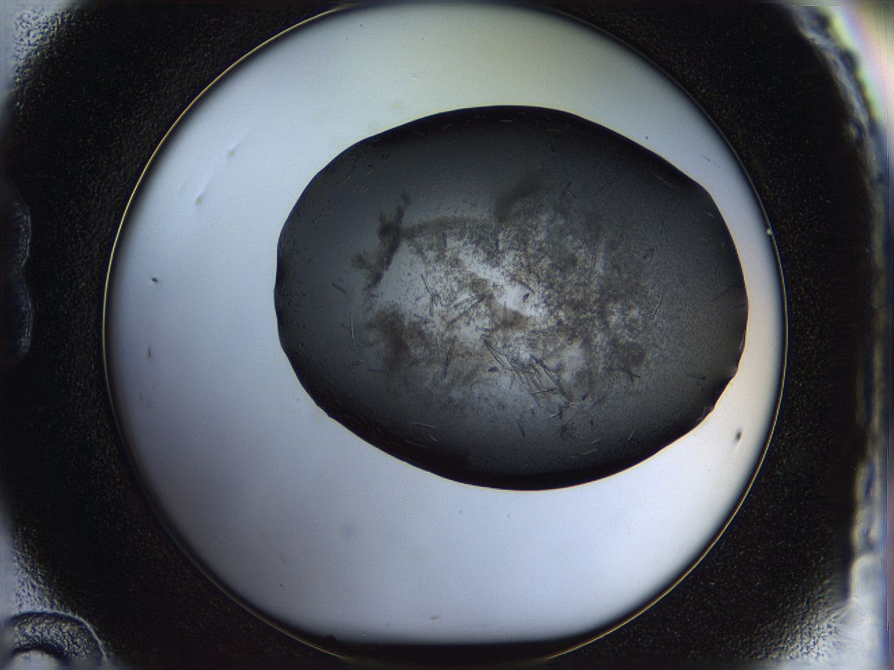05fp_B12_ImagerDefaults_7.jpg