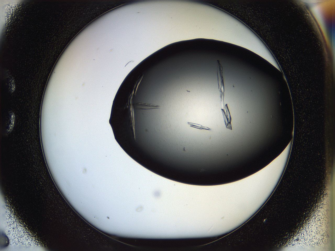 05fp_C6_ImagerDefaults_9.jpg