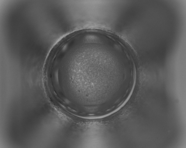 X0000052281024200507132023.png