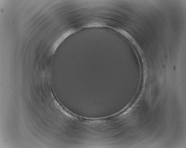 X0000054171337200508101750.png