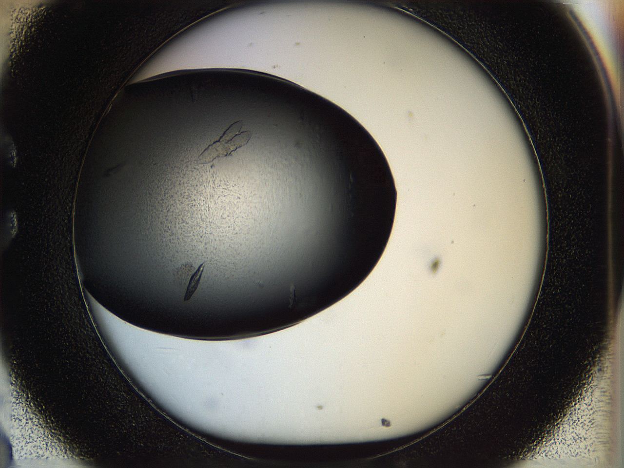 05fp_C8_ImagerDefaults_9.jpg
