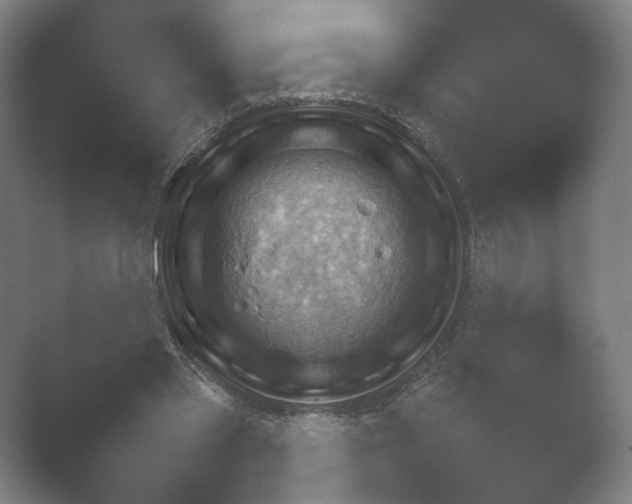 X0000052280397200507132034.png