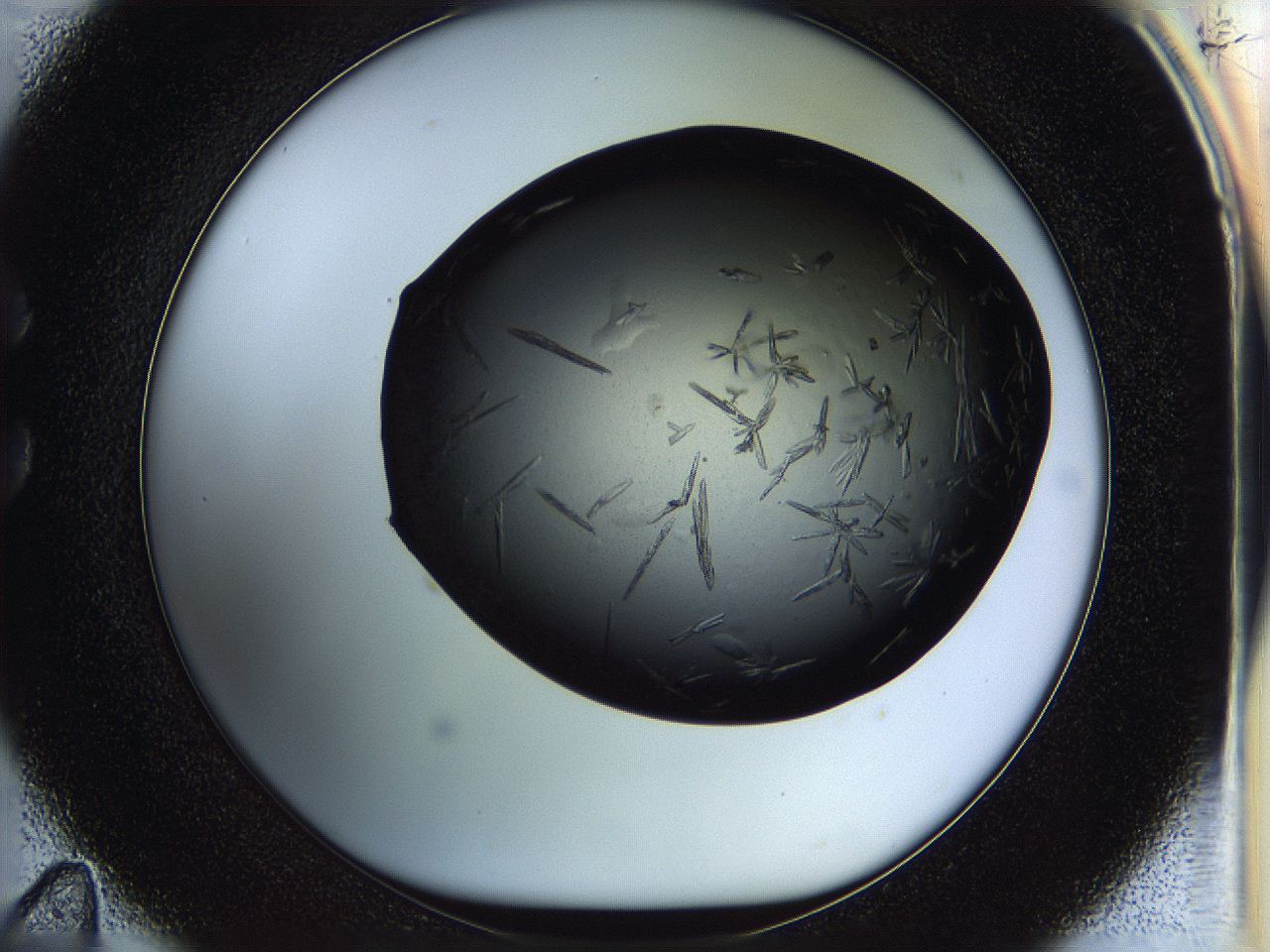 05fp_C11_ImagerDefaults_7.jpg