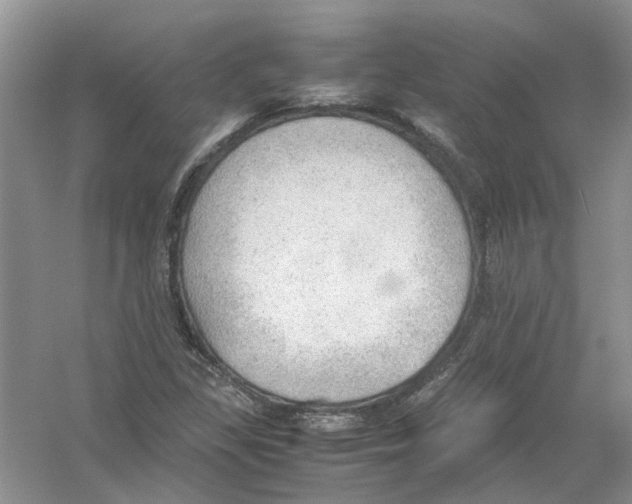 X0000054271309200508261905.png