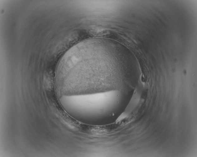 X0000054650515200508091645.png
