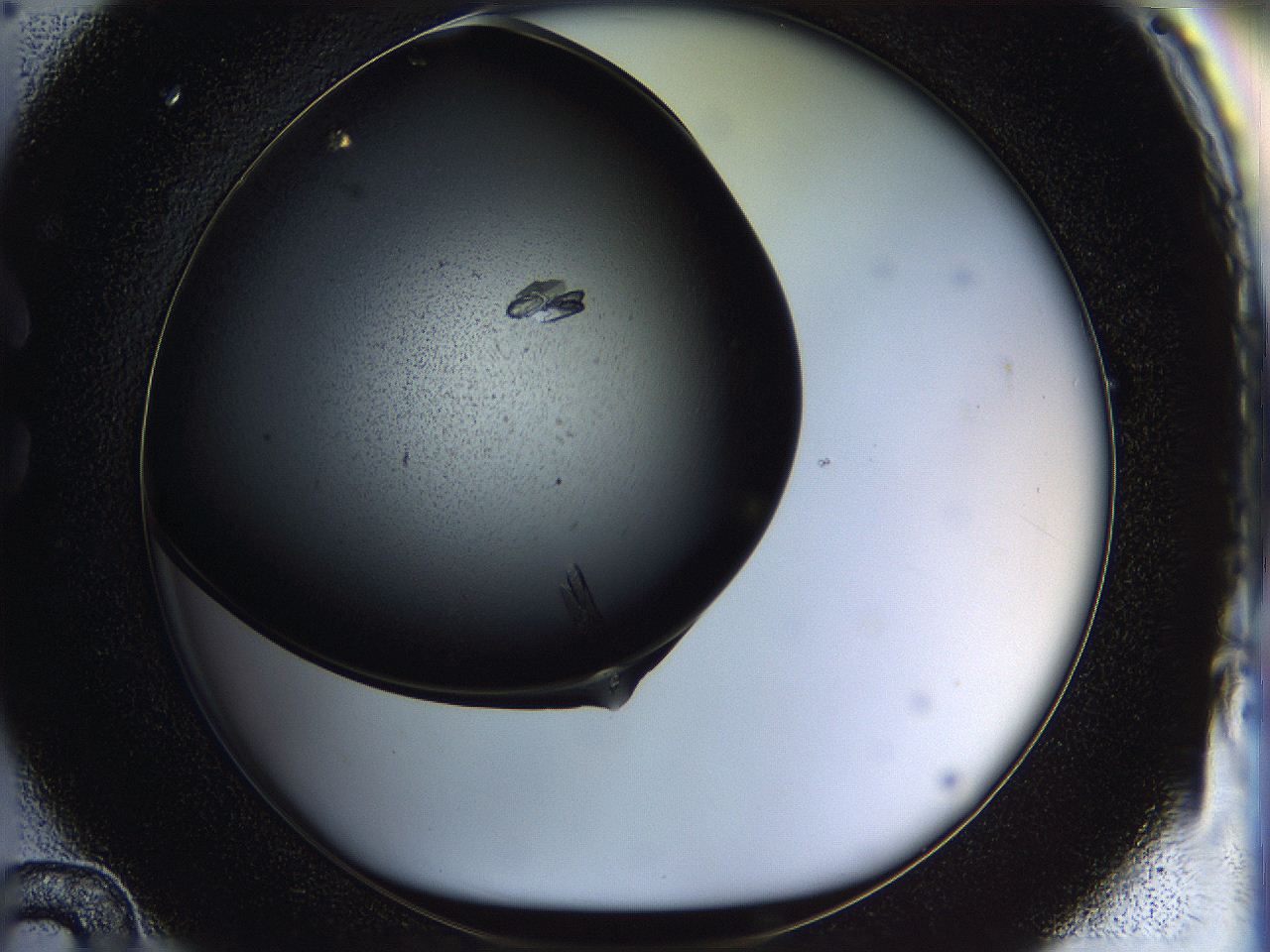 05fp_C12_ImagerDefaults_9.jpg