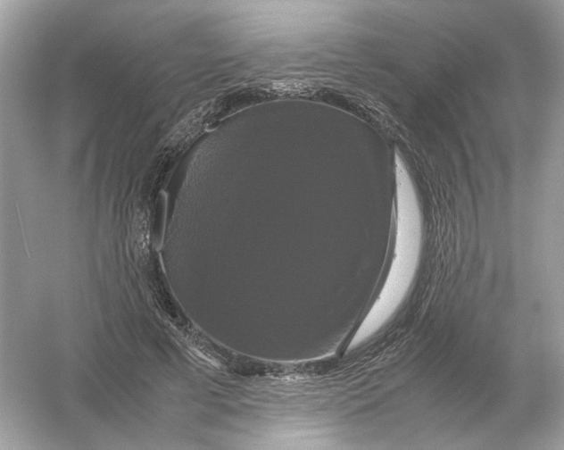 X0000054350593200508190130.png