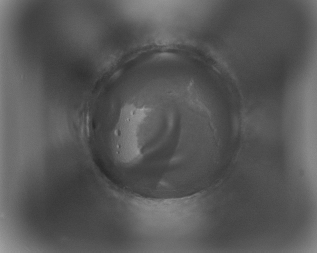 X0000054110019200508022111.png