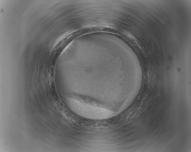 X0000054171064200508101754.png