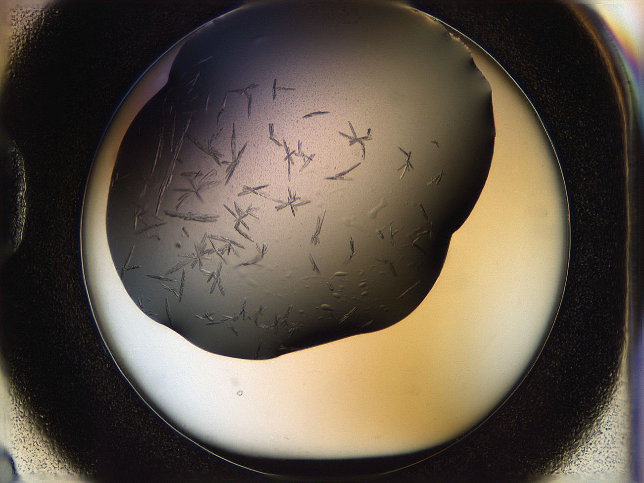 05fp_D2_ImagerDefaults_7.jpg