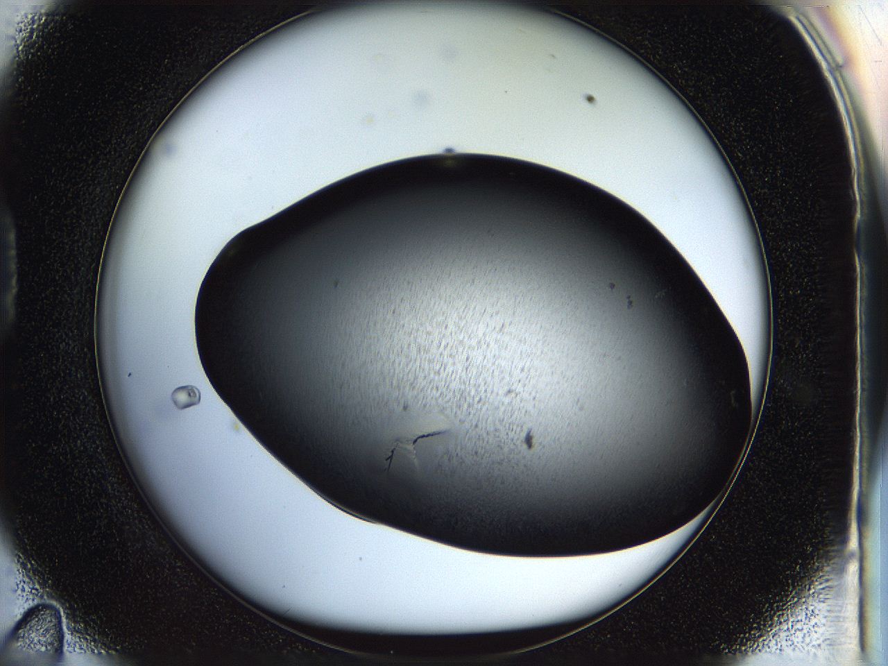 05fp_D11_ImagerDefaults_8.jpg