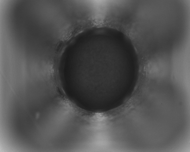 X0000054730610200508171853.png