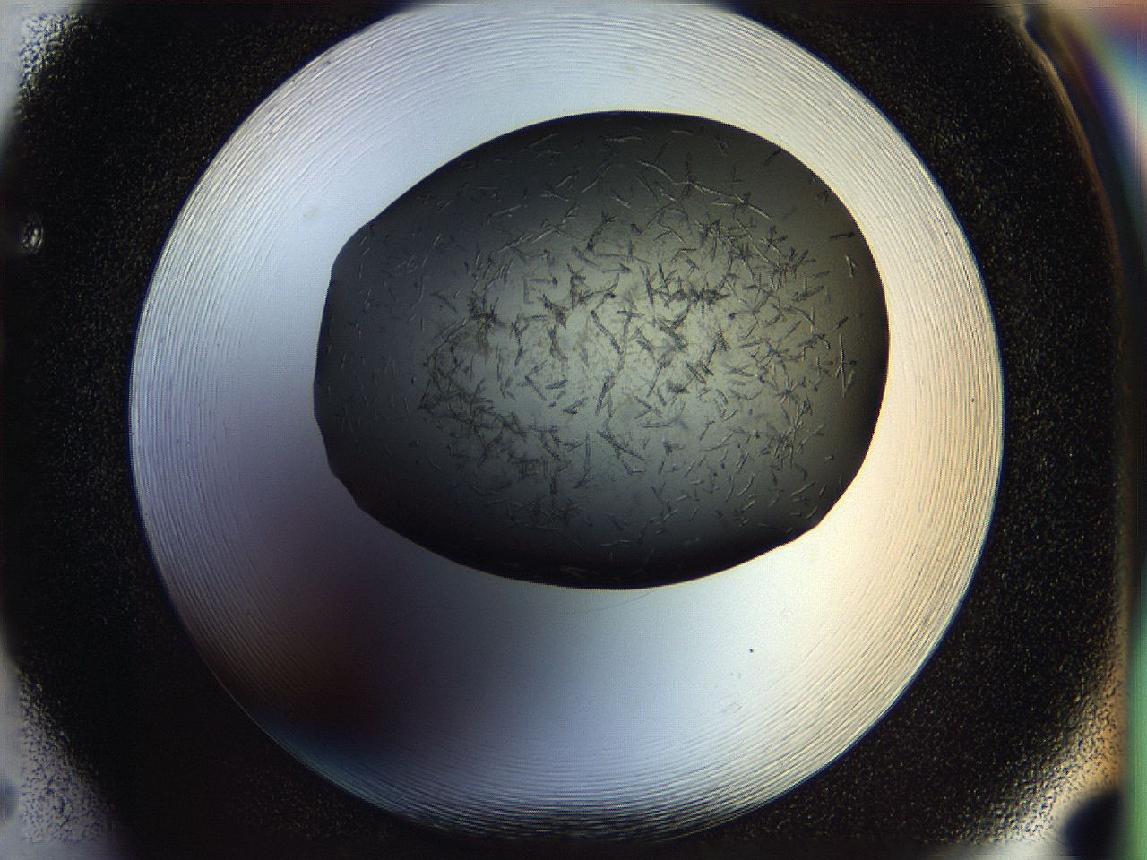 05fp_F5_ImagerDefaults_6.jpg