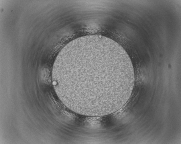 X0000054580136200508300110.png