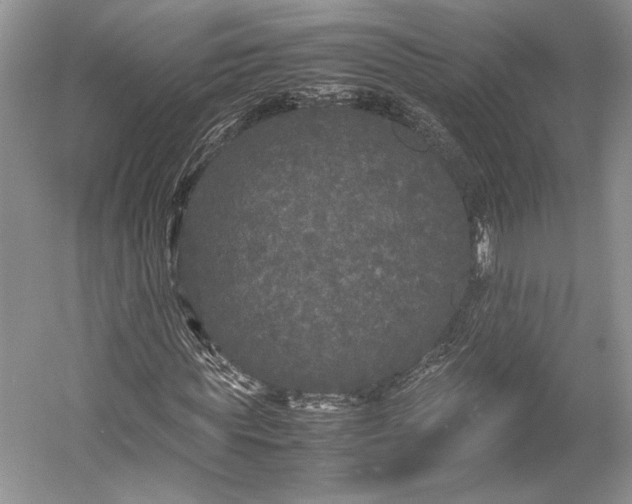 X0000055060819200508161643.png