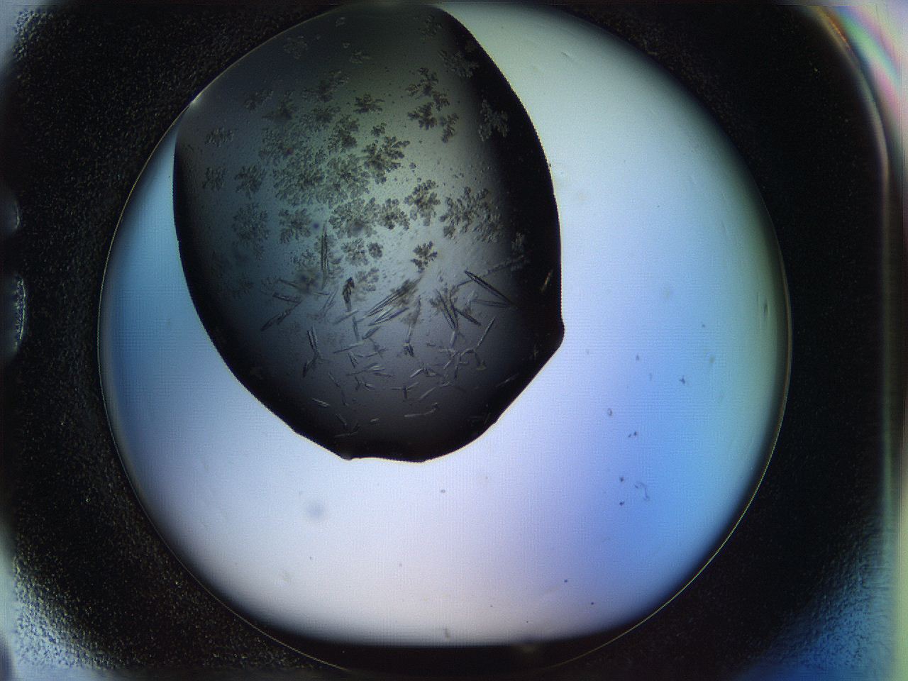 05fp_G8_ImagerDefaults_7.jpg