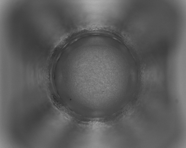 X0000052150539200507051954.png