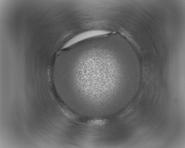 X0000054300161200508042319.png