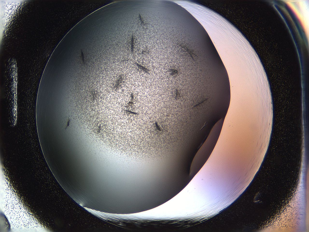 05fp_H2_ImagerDefaults_6.jpg