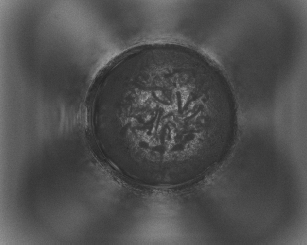X0000039761267200409281017.png