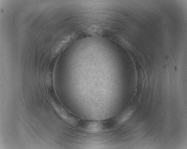 X0000054650088200508091652.png