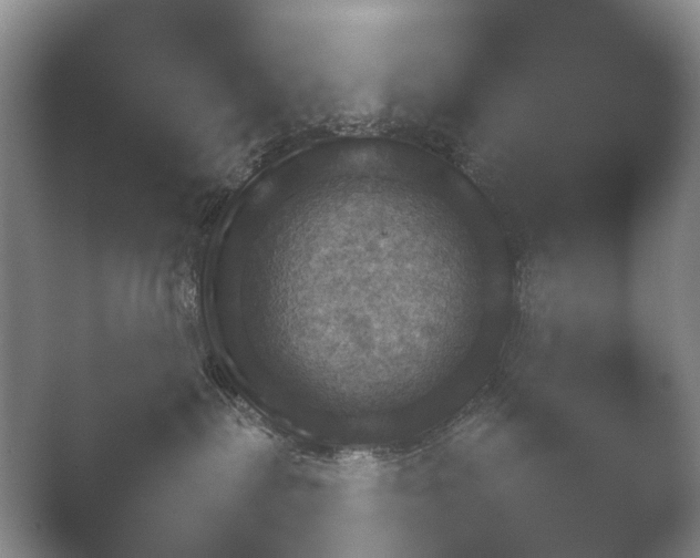 X0000052150287200507051959.png