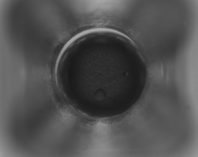 X0000054730303200508171859.png