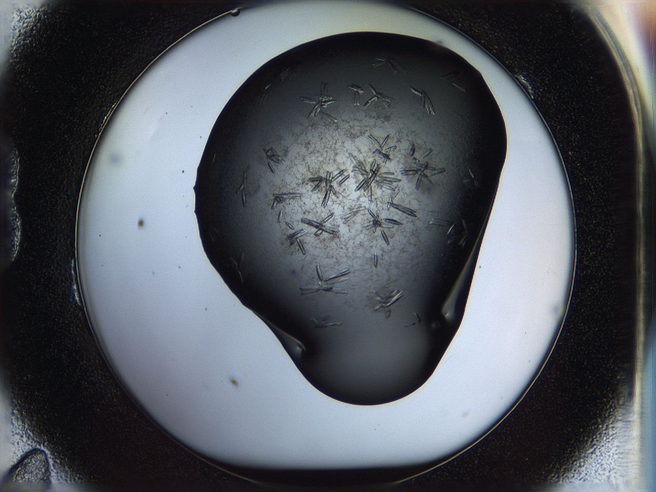 05fp_B11_ImagerDefaults_8.jpg