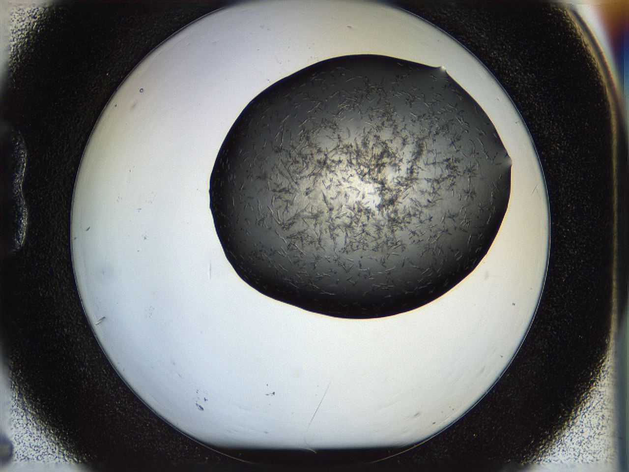 05fp_B6_ImagerDefaults_6.jpg