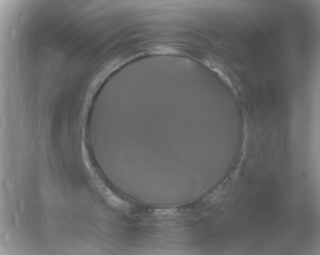 X0000054350145200508190137.png