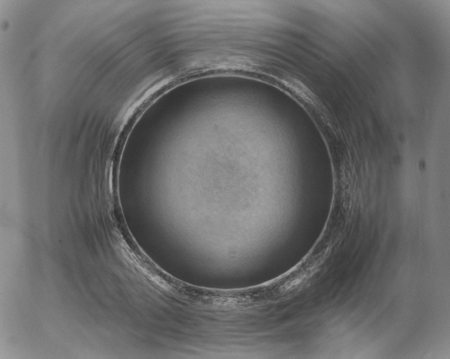 X0000054650790200508091640.png