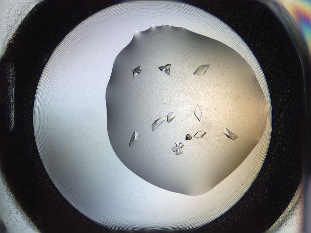 05fz_H2_ImagerDefaults_9.jpg