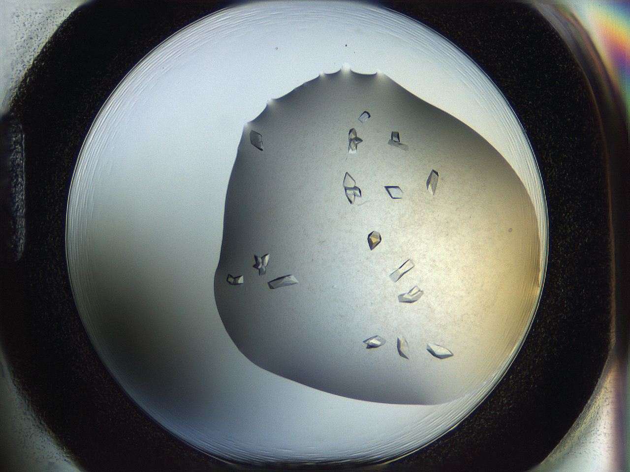 05fz_H1_ImagerDefaults_9.jpg