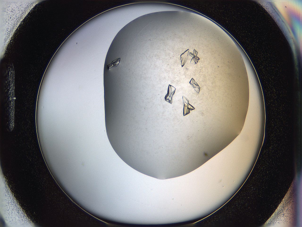 05fz_H3_ImagerDefaults_8.jpg
