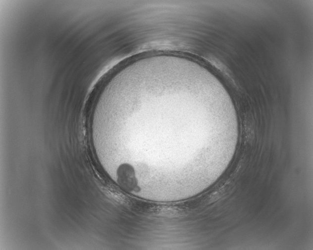X0000054271070200508261910.png