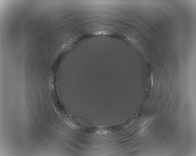 X0000054350547200508190131.png