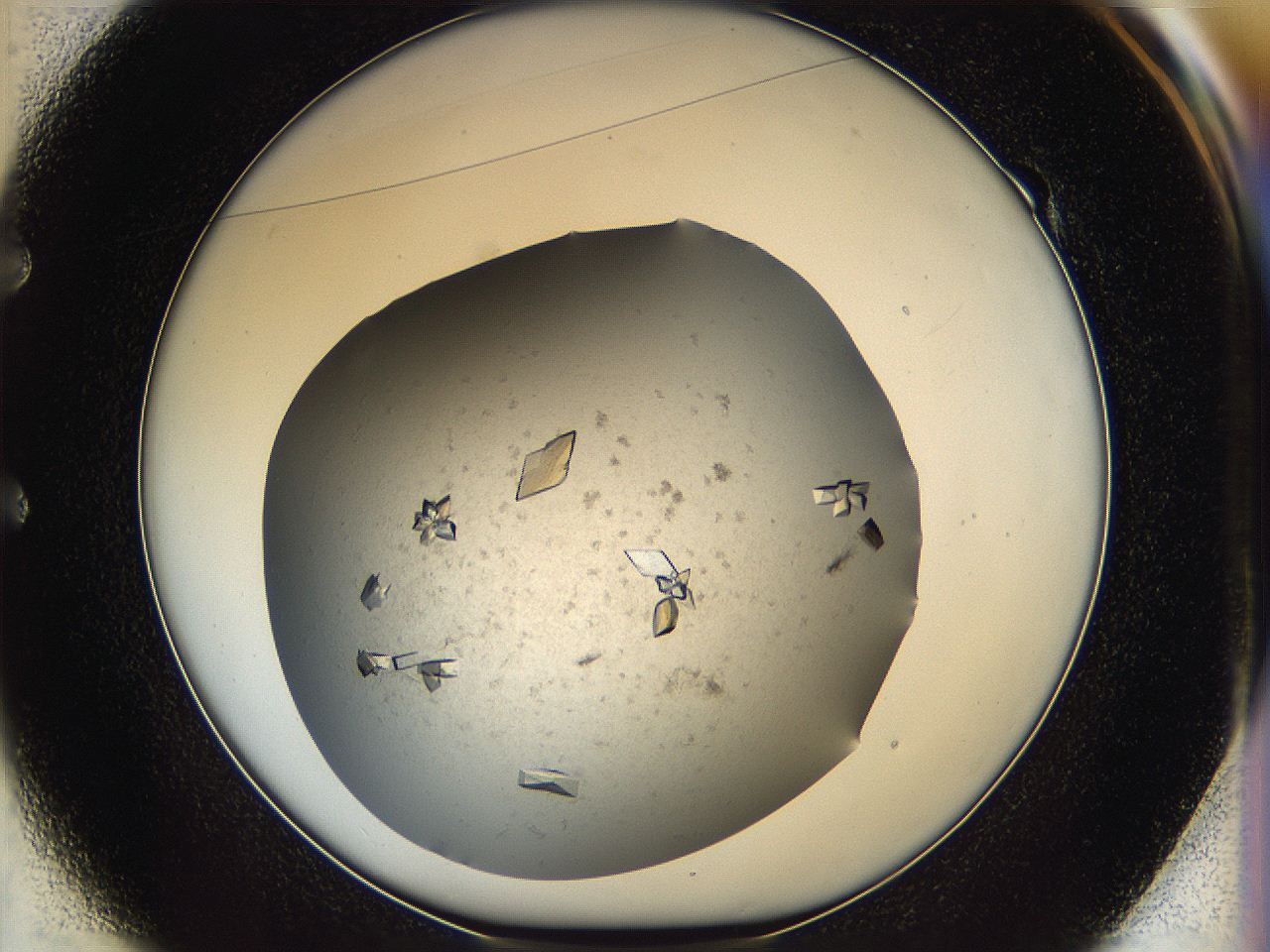05fz_E1_ImagerDefaults_9.jpg