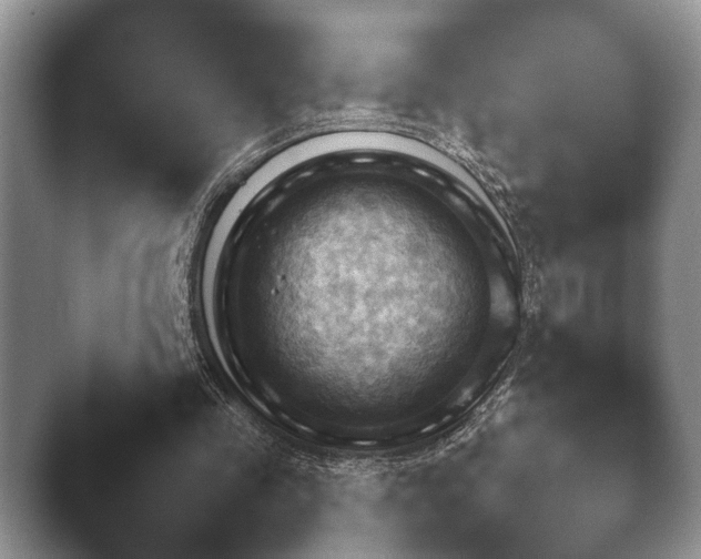 X0000044150341200412271300.png
