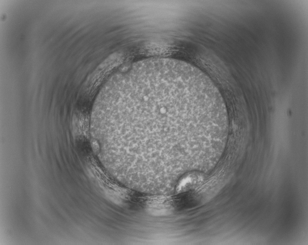 X0000054580096200508300112.png