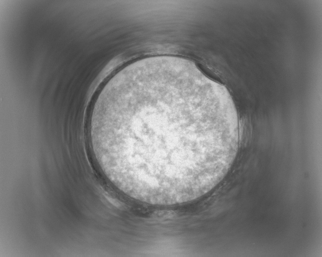 X0000054270195200508261925.png