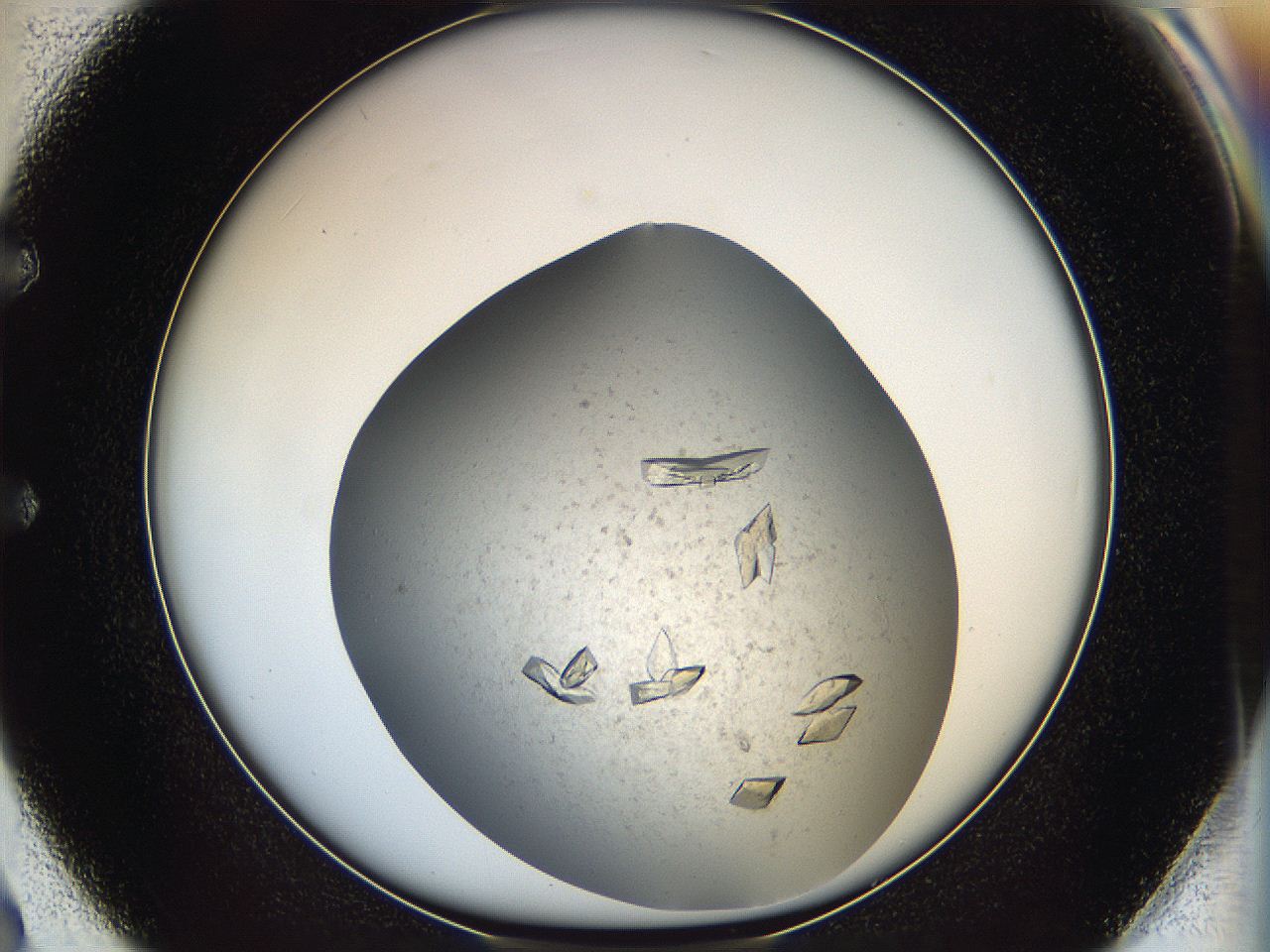 05fz_E2_ImagerDefaults_9.jpg
